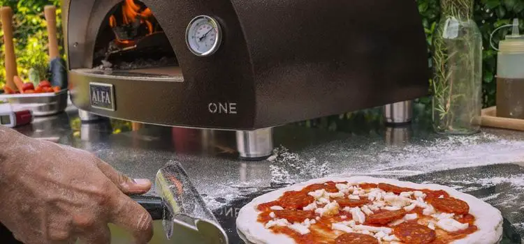 alfa brio pizza oven review