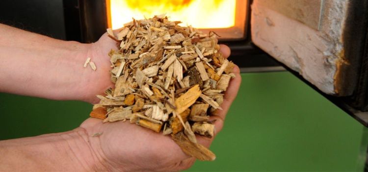 what wood chips are best for smoking turkey